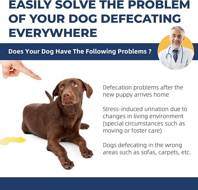 Potty Training Spray for Pets