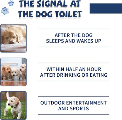 Potty Training Spray for Pets